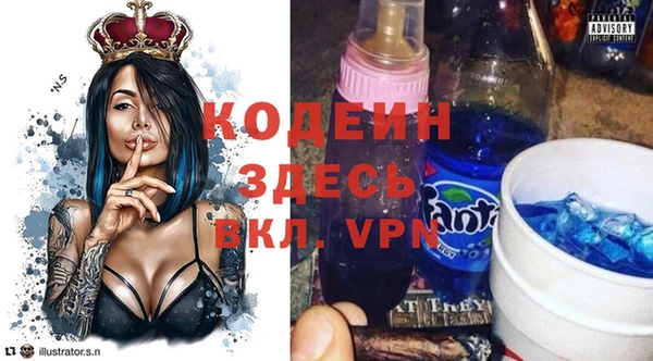 индика Осинники