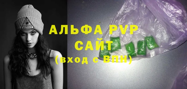 стафф Алексин