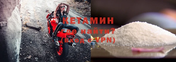 индика Осинники
