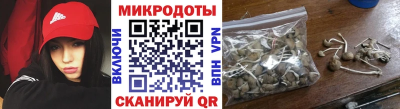 Галлюциногенные грибы мухоморы  наркошоп  Бабаево 